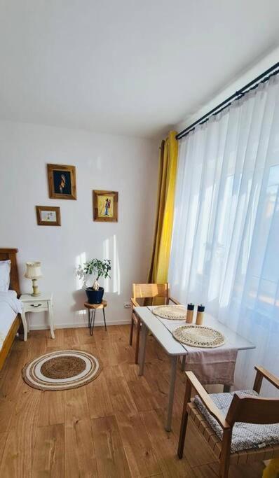Warm And Cozy Studio Flat Near Straja Hobicaurikány Kültér fotó