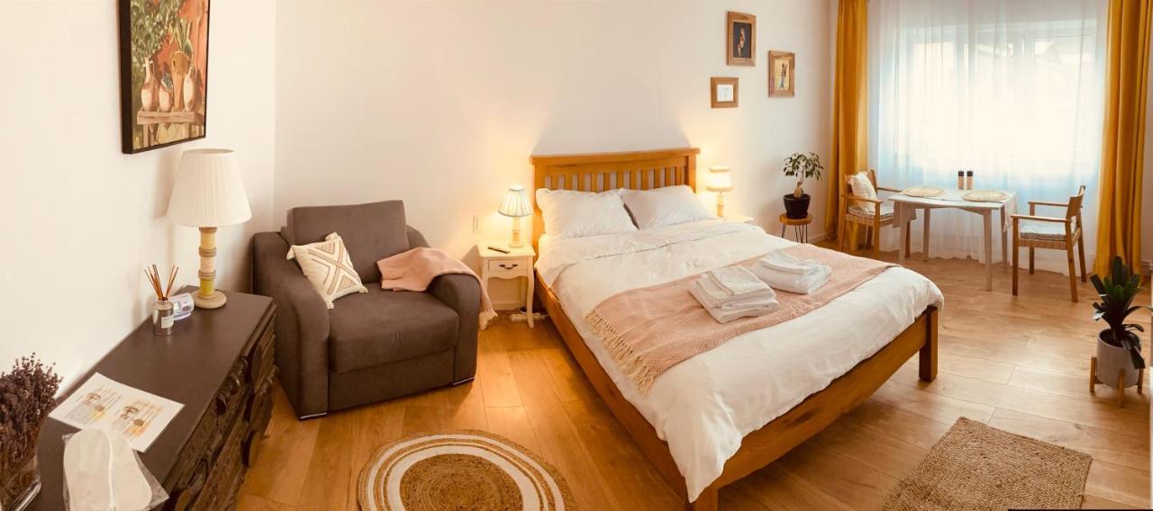 Warm And Cozy Studio Flat Near Straja Hobicaurikány Kültér fotó